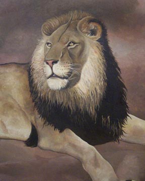 Lion
