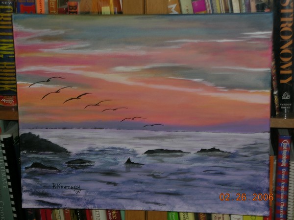 7 Seagulls @ Monterey Bay