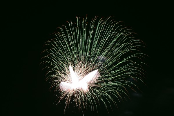 Fireworks_in_Sky_2