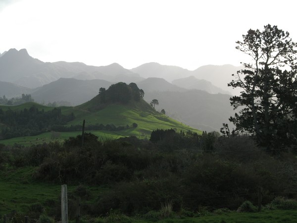 Misty Mountain Morning