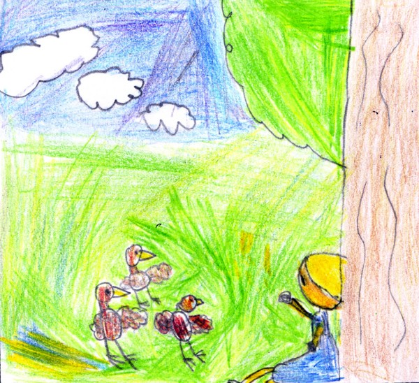 Children's Illustration For a Story