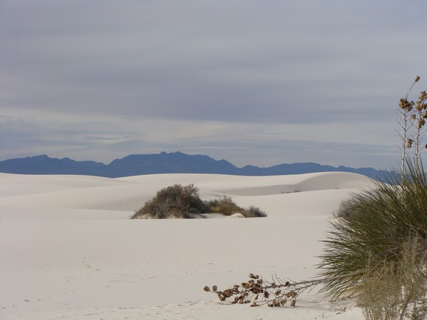 White Sands, NM