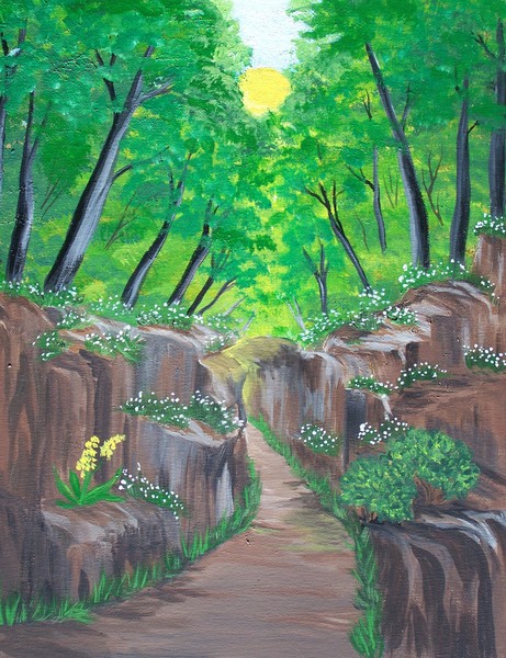 stone Ravine in the forest