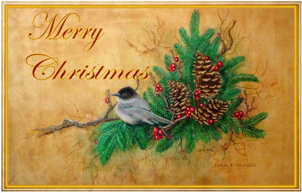 Christmas Chickadee