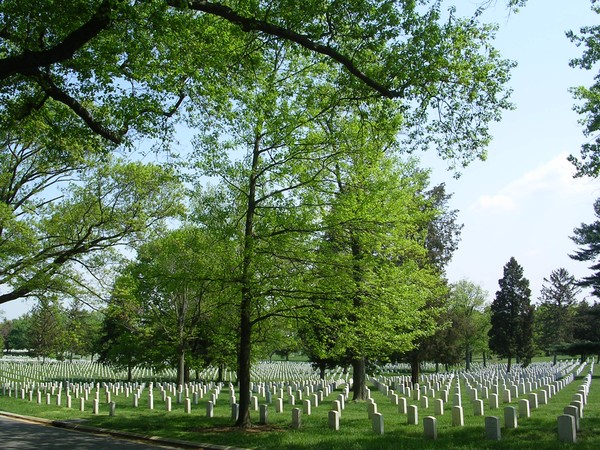 Resting in Peace, Arlington National Cemetery