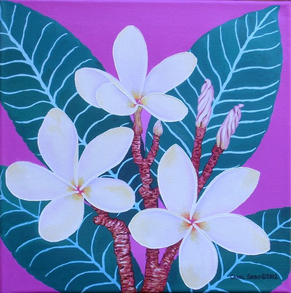 Hawaiian Plumeria