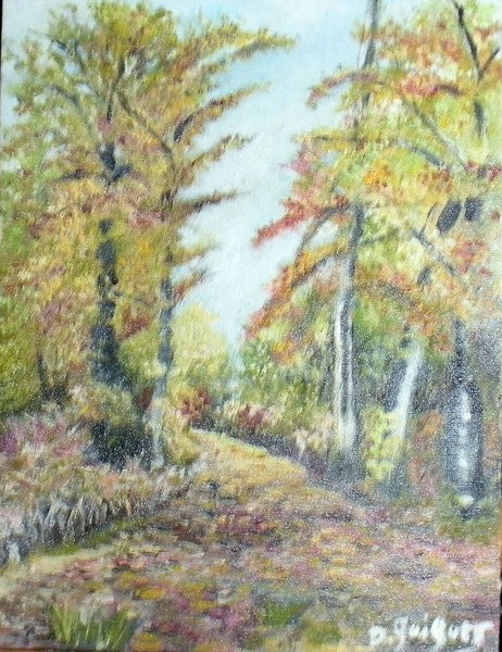 sous bois en automne