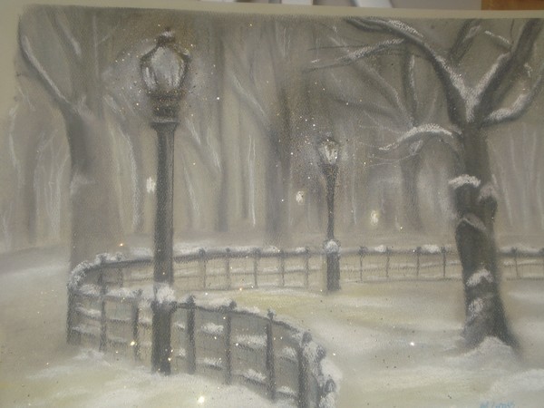 Snow Storm in the Park
