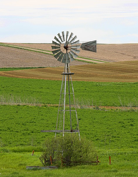 Windmill 4