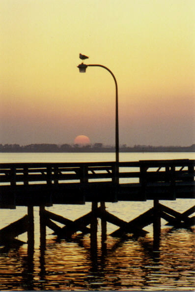 Pier 10 Jones Beach, NY