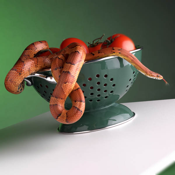 Snake with Tomatoes

