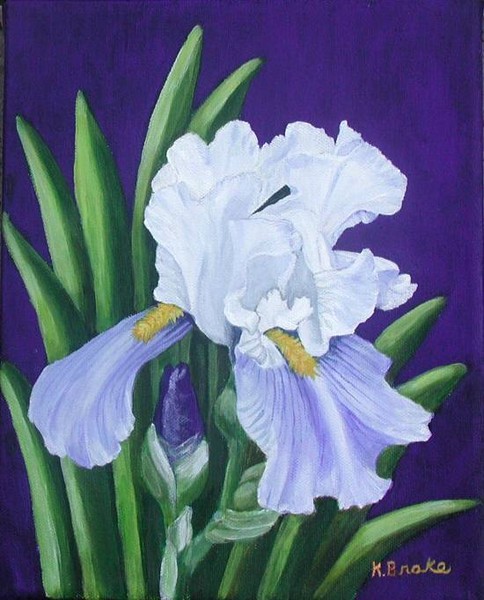 Blue iris