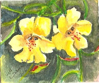 Monkey flower