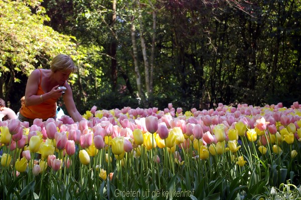 Greetings from out the keukenhof