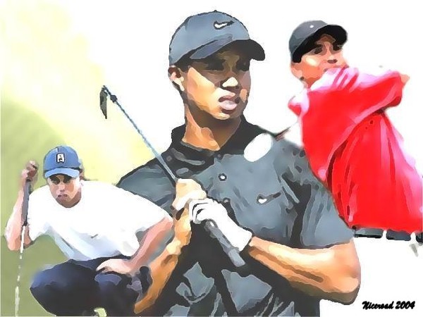 Tiger Woods tribute