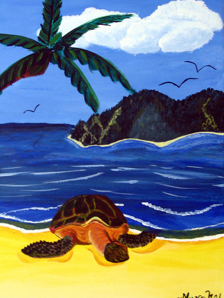 Turtle on Shore