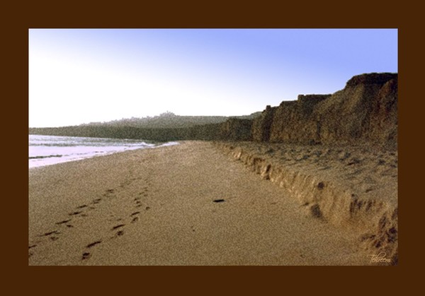 Foot steps on Sand... 