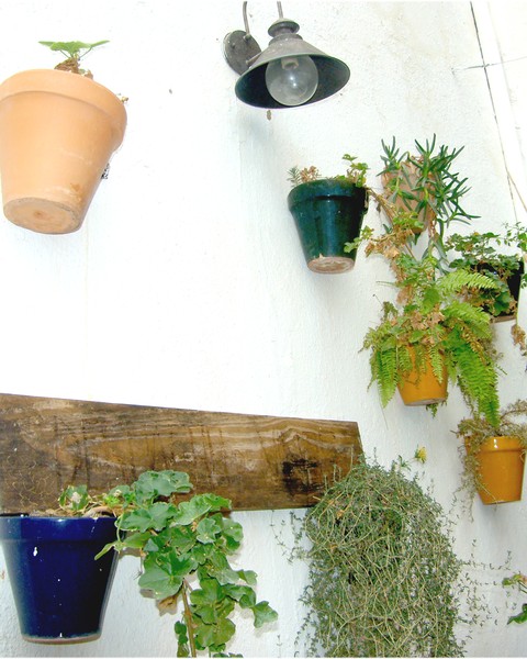 potted wall