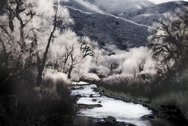 Light in the Canyon