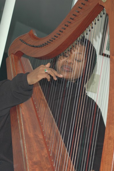 Harpist From The Hood