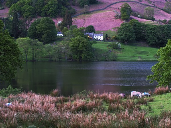 Rydal Water