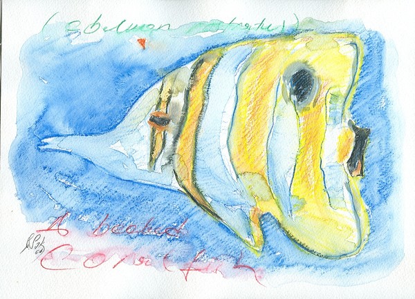 fish-WATERCOLORS,13