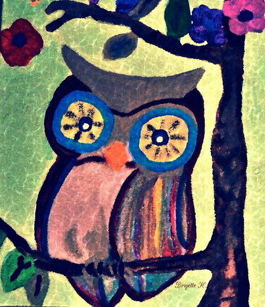 painted Owl