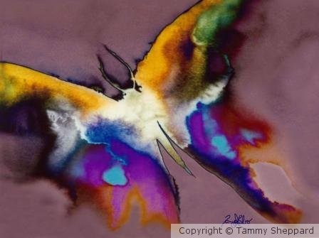 Colorful flight