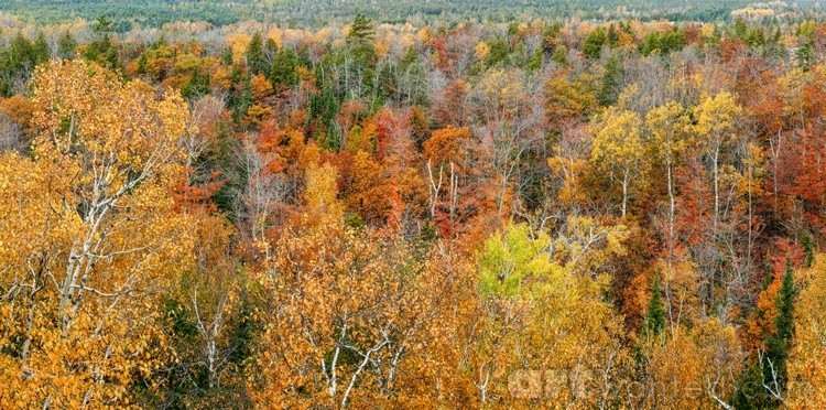 Beautiful Colors of Autumn