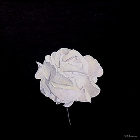 The last rose of 2003 (white)