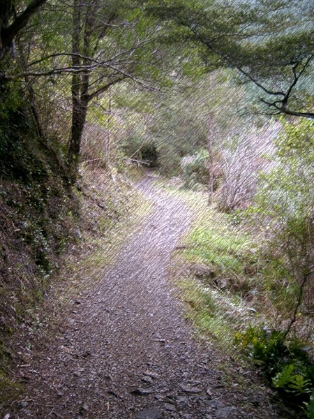 Aniseed Valley Track