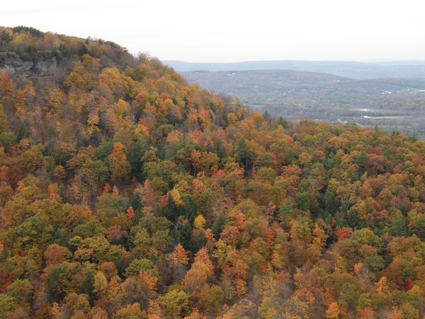 Autumn Hillside I