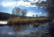 Colorado River Autumn