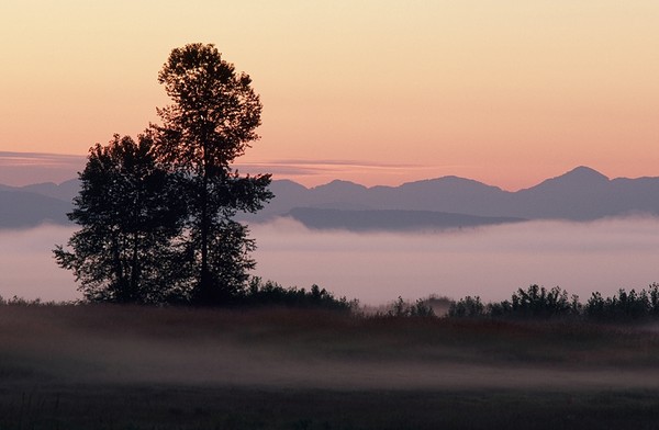 Mist at Dawn