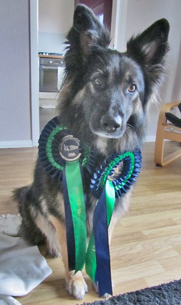 Rosette Girl!!