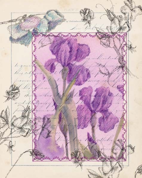 Purple Iris Watercolor Flower Collage