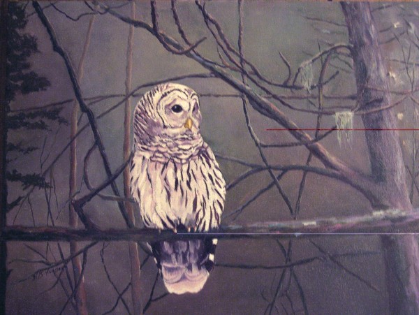 Adirondack Owl
