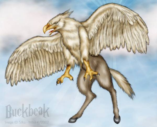 Buckbeak the Hippogriff