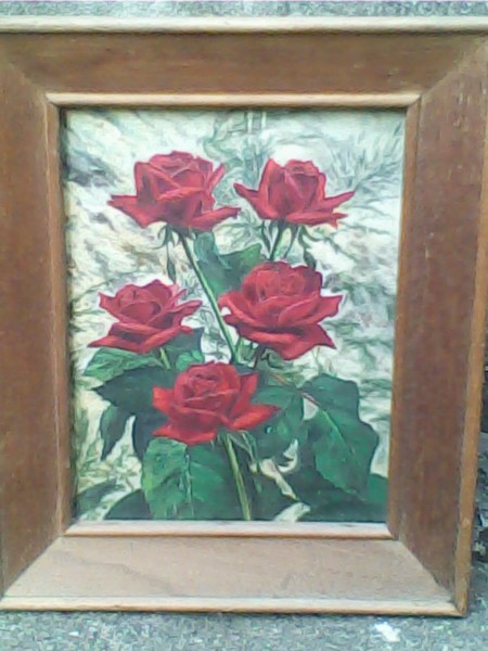 ROSAS