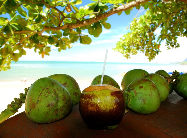 coconut water