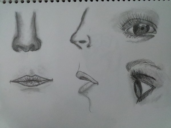 Eyes, lips, & noses.... Oh my