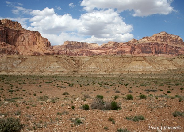 Desert Vista