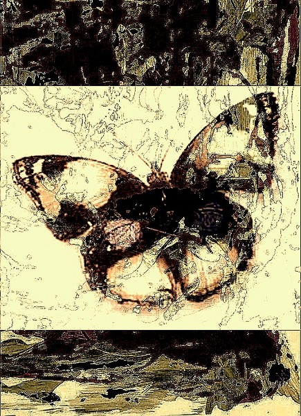 Collage Butterfly