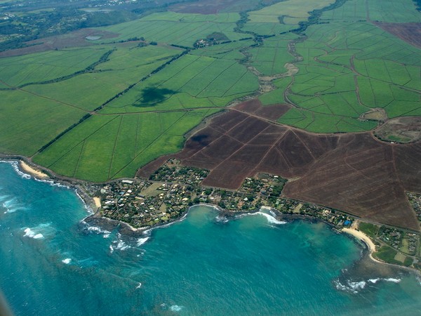 Aerial Maui Paia Mama's Fish House