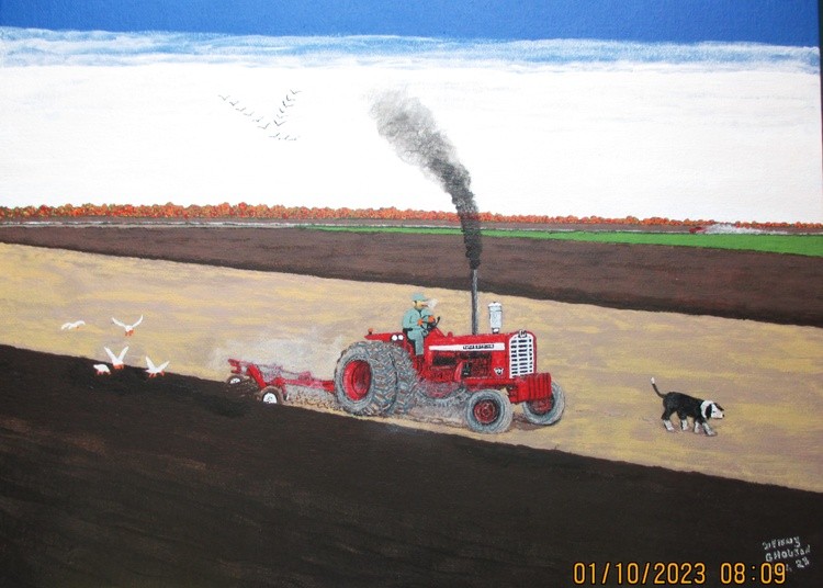 IH  International 1256 Diesel Tractor Plowing 1960's-1970's