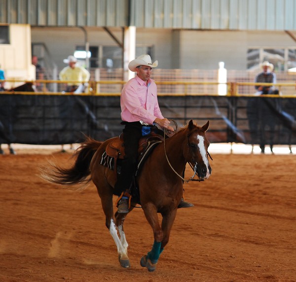 Reining Cow Show Ocala Florida