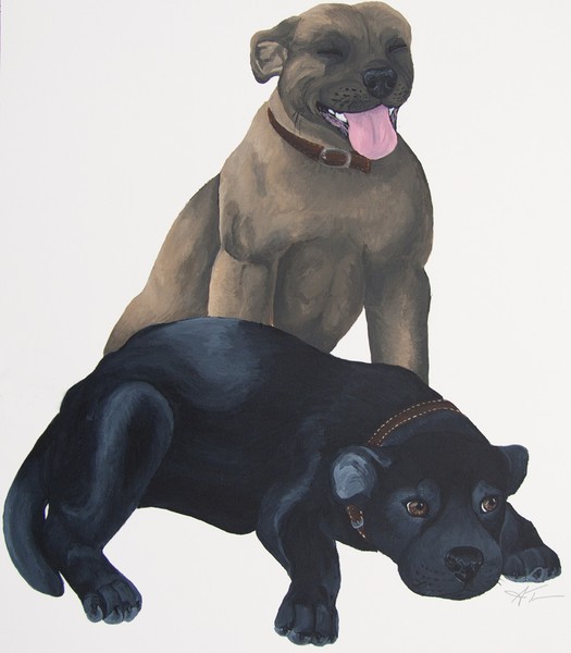 Two Staffordshire Bull Terriers