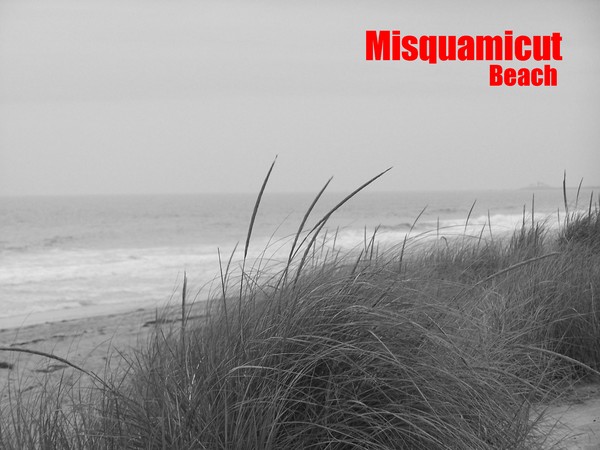 Beach Grass Misquamicut Rhode Island Poster style