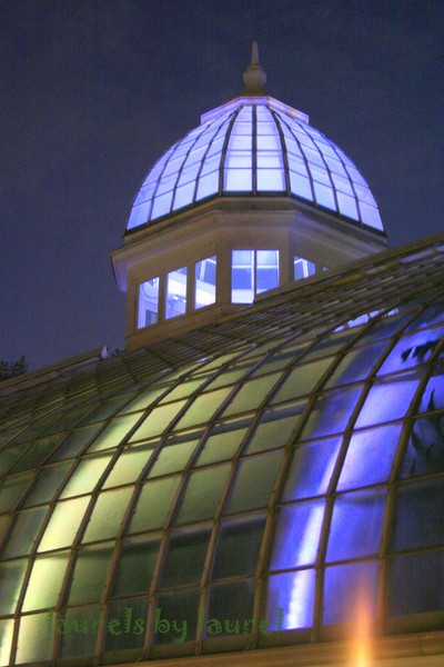 Franklin Park Conservatory Cupola at Night