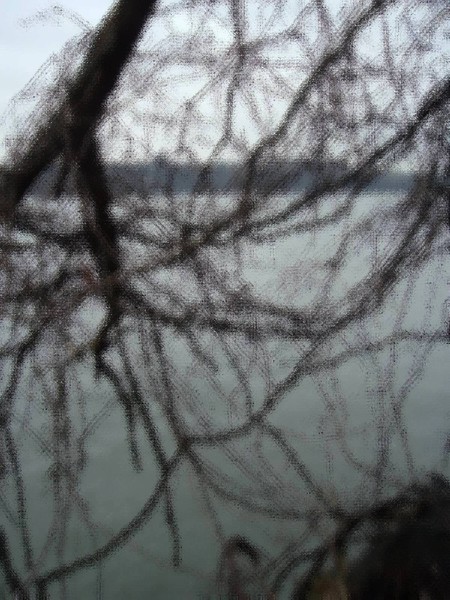 Winter tree 2